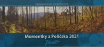 Polika 2021