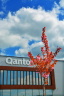 Qanto